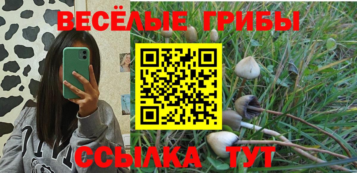 Галлюциногенные грибы Magic Shrooms Димитровград